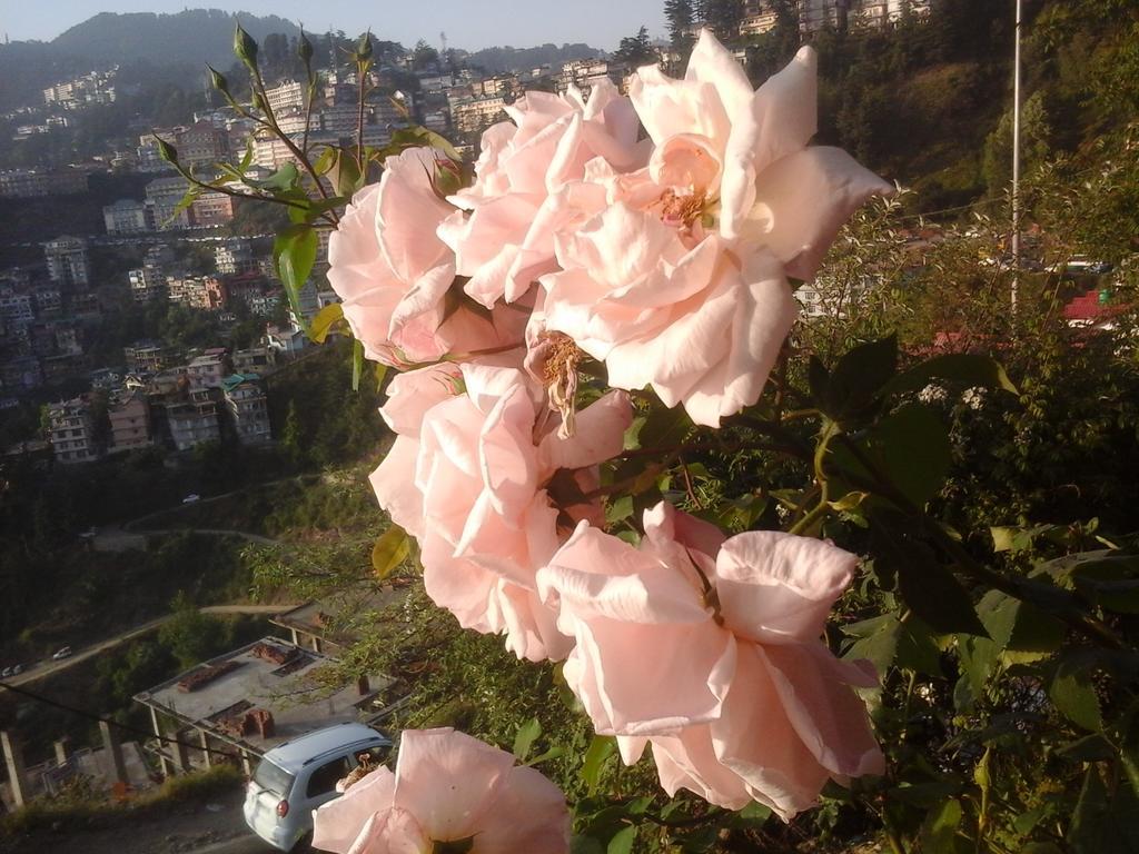 Shimla View Home Extérieur photo